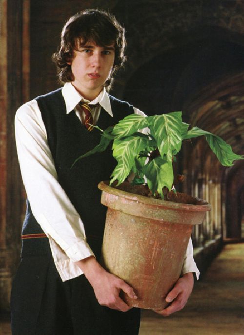 Neville.jpg